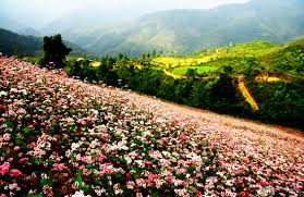 Sài Gòn - Hà Nội - Ba Bể - Cao Bằng - Pắc Pó – Đồng Văn - Lũng Cú - Hà Giang - Sapa